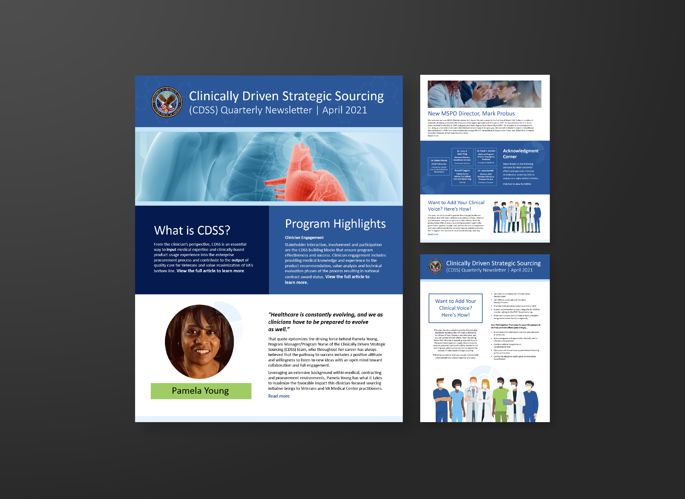 CDSS Newsletter Design